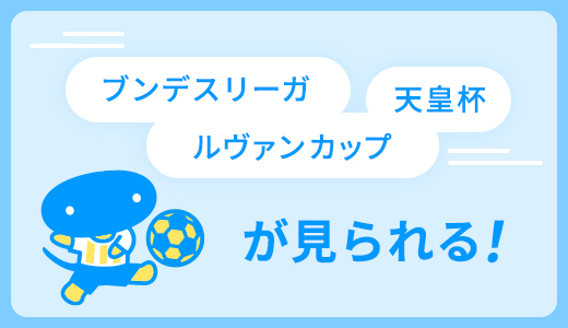 スカパー サッカーセット スカパー スポーツ 音楽ライブ アイドル アニメ ドラマ 映画など