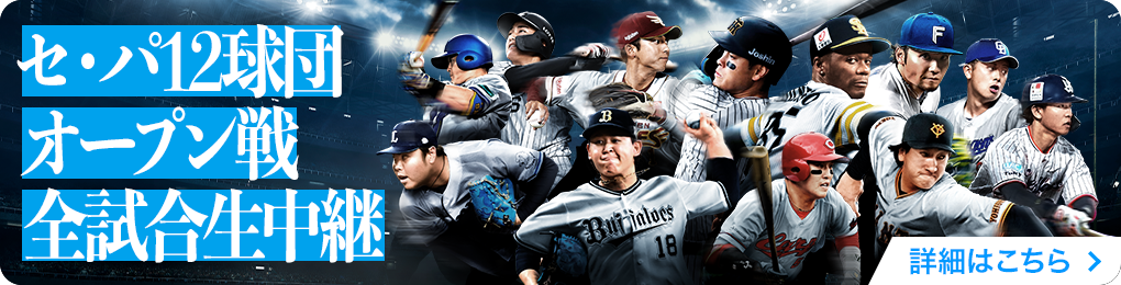 プロ野球特設サイトバナー