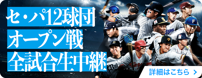 プロ野球特設サイトバナー
