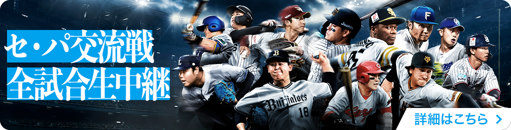プロ野球特設サイトバナー
