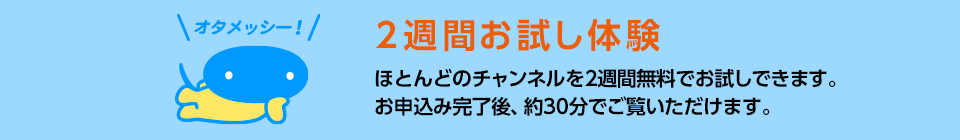 2週間お試し体験 ほとんどのチャンネルを2週間無料でお試しできます。お申込み完了後、約30分でご覧いただけます。